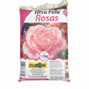 Terra Especial - Rosas